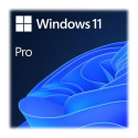 Ernitec Windows 11 Pro OEM Reference: W126592745