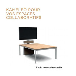 Erard Pro Kaméléo/XPO - Support VESA Reference: 510080