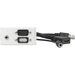 Vivolink Outlet Panel HDMI, USB, AUD Reference: WI221294