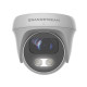 Grandstream Security Camera Turret Ip Reference: W128559654